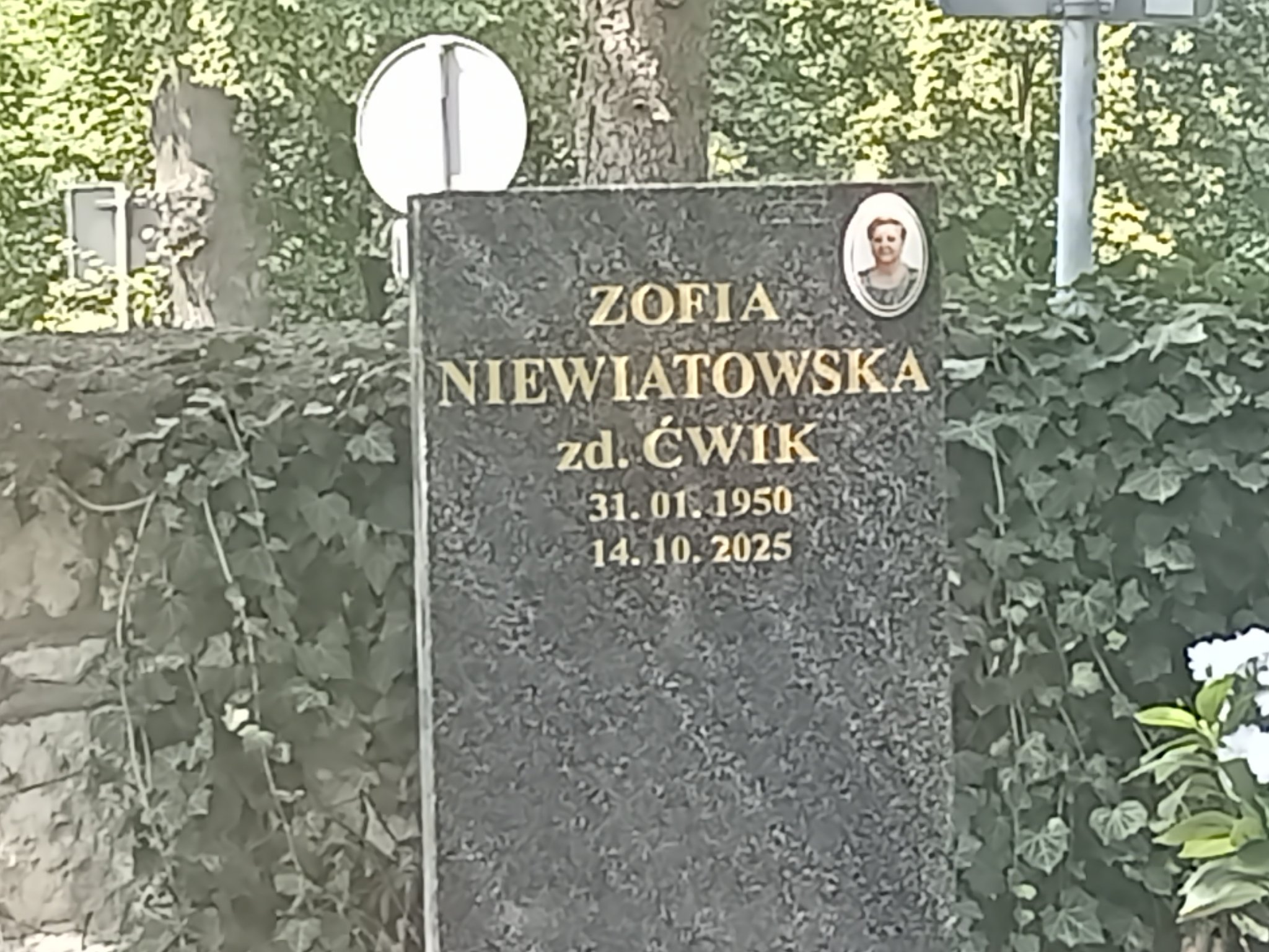 Zdjęcie grobu