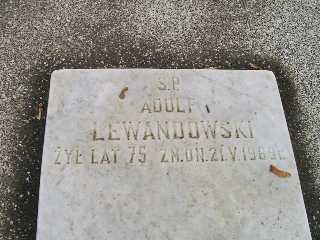 Adolf Lewandowski Płock - Grobonet - Wyszukiwarka osób pochowanych