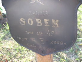 Grób Danuta Sobek