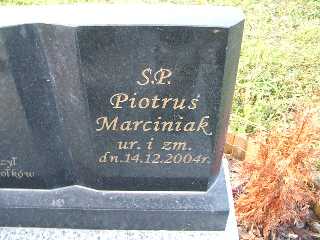 Piotr Marciniak 2004 Płock - Grobonet - Wyszukiwarka osób pochowanych