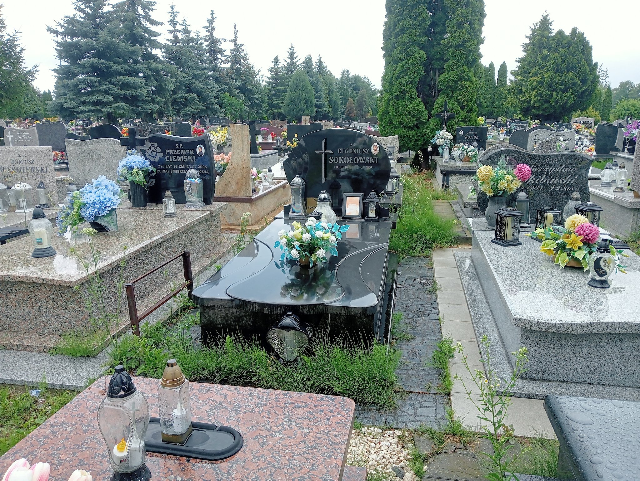 Grób Danuta Sokołowska