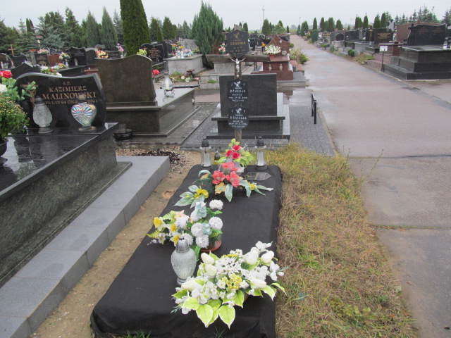 Grób Tadeusz Dźwigała