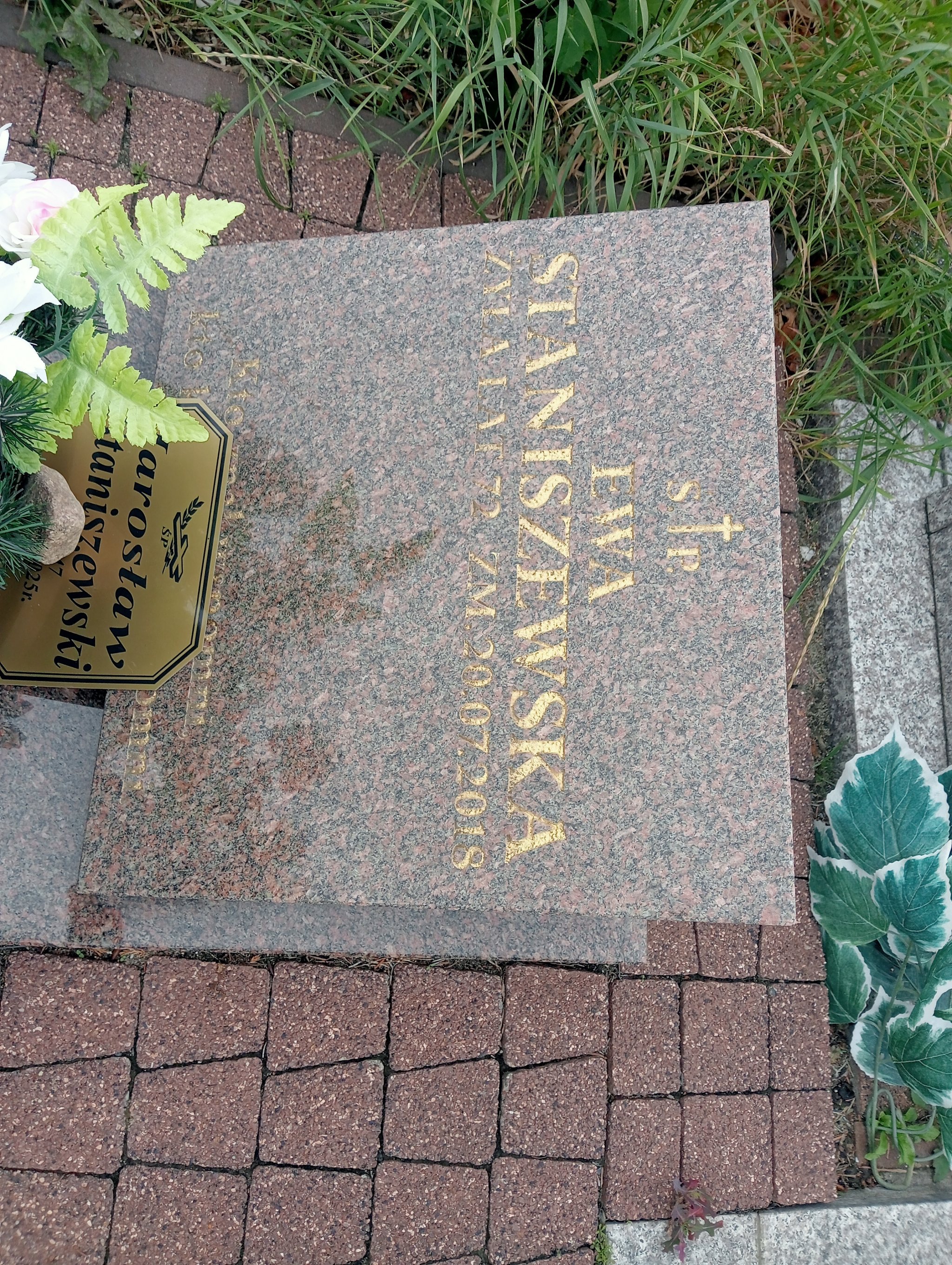 Jarosław Staniszewski 1978 Płock - Grobonet - Wyszukiwarka osób pochowanych
