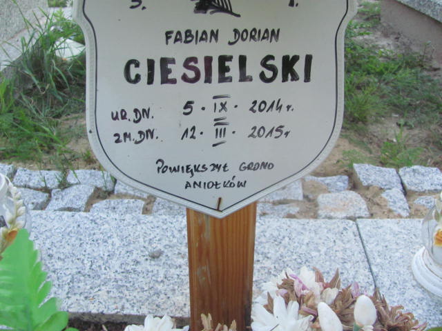 Fabian Dorian Ciesielski 2014 Płock - Grobonet - Wyszukiwarka osób pochowanych