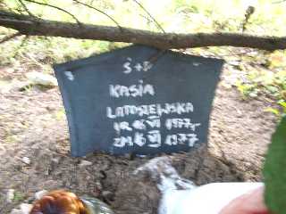 Katarzyna Latoszewska 1977 Płock - Grobonet - Wyszukiwarka osób pochowanych