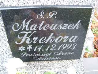 Mateusz Krekora Płock - Grobonet - Wyszukiwarka osób pochowanych