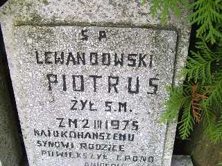 Piotr Lewandowski 1974 Płock - Grobonet - Wyszukiwarka osób pochowanych