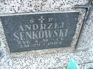Andrzej Senkowski 1983 Płock - Grobonet - Wyszukiwarka osób pochowanych