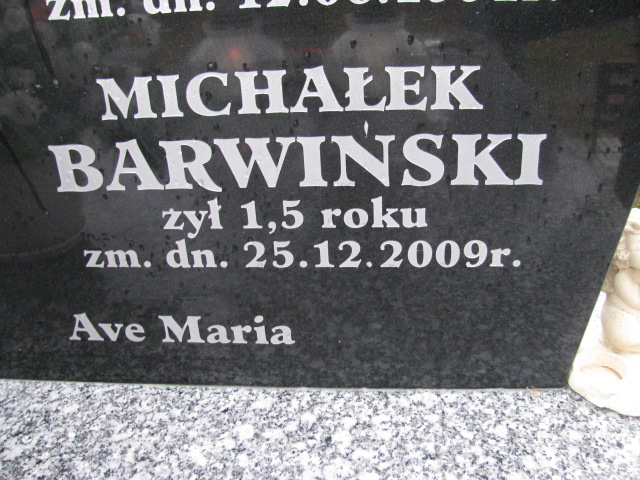 Michał Barwiński 2008 Płock - Grobonet - Wyszukiwarka osób pochowanych