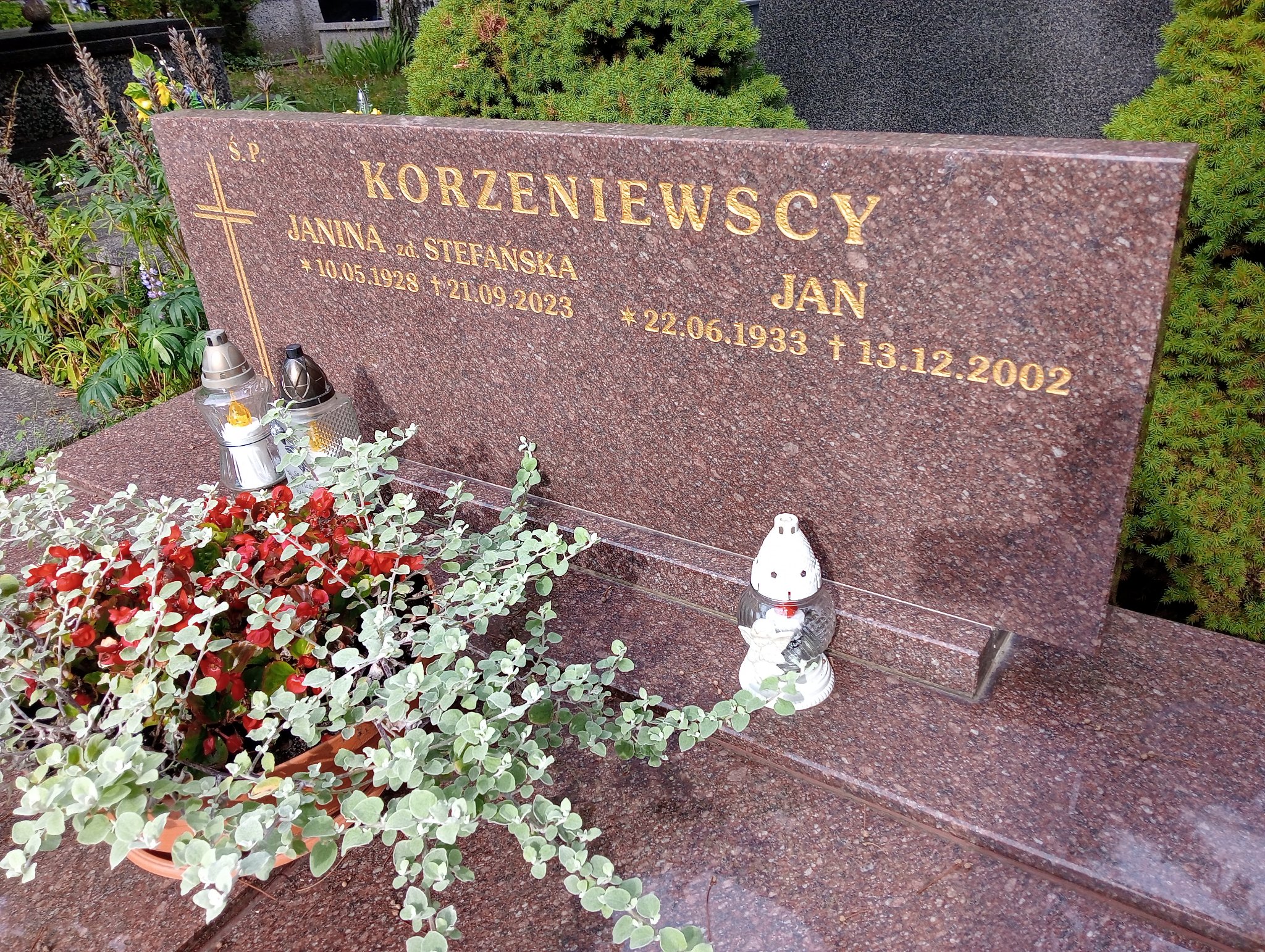 Janina Korzeniewska 1928 Płock - Grobonet - Wyszukiwarka osób pochowanych