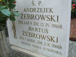 Bartosz Żebrowski Płock - Grobonet - Wyszukiwarka osób pochowanych