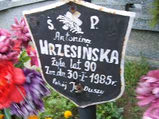 Grób Teresa Kalwasińska