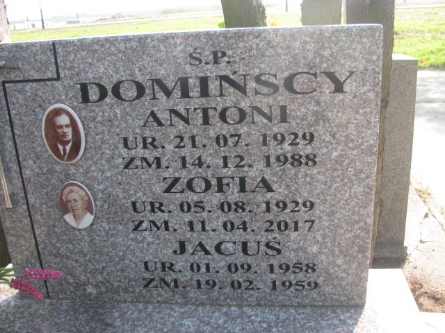 Antoni Domiński 1929 Płock - Grobonet - Wyszukiwarka osób pochowanych