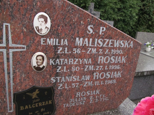 Emilia Maliszewska 1934 Płock - Grobonet - Wyszukiwarka osób pochowanych