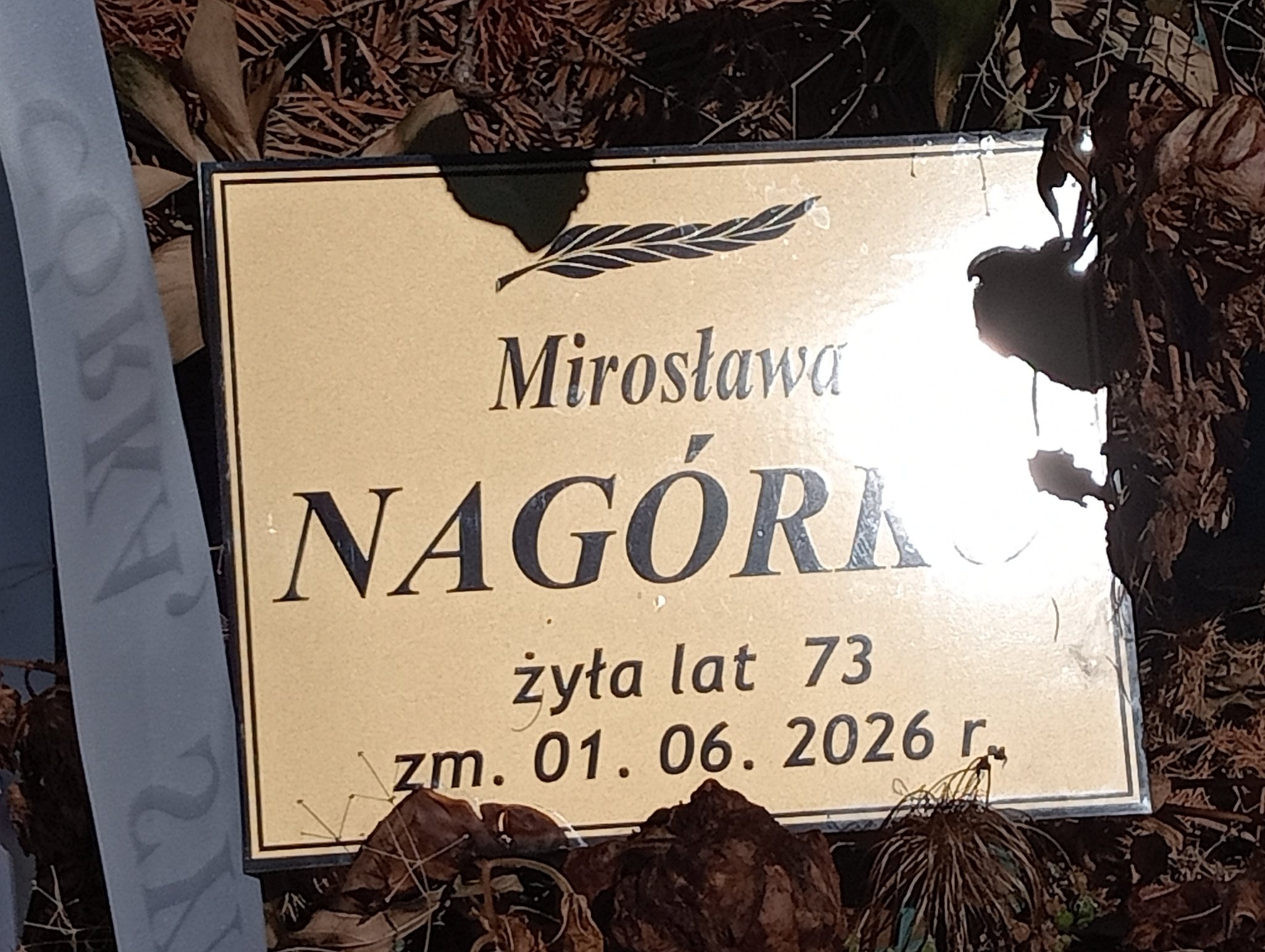 Zdjęcie grobu