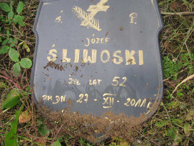 Józef Śliwoski 1959 Płock - Grobonet - Wyszukiwarka osób pochowanych